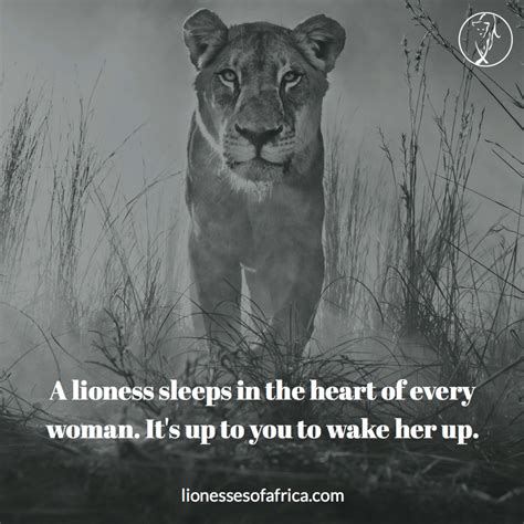 25 Lioness Quotes to Empower Women。